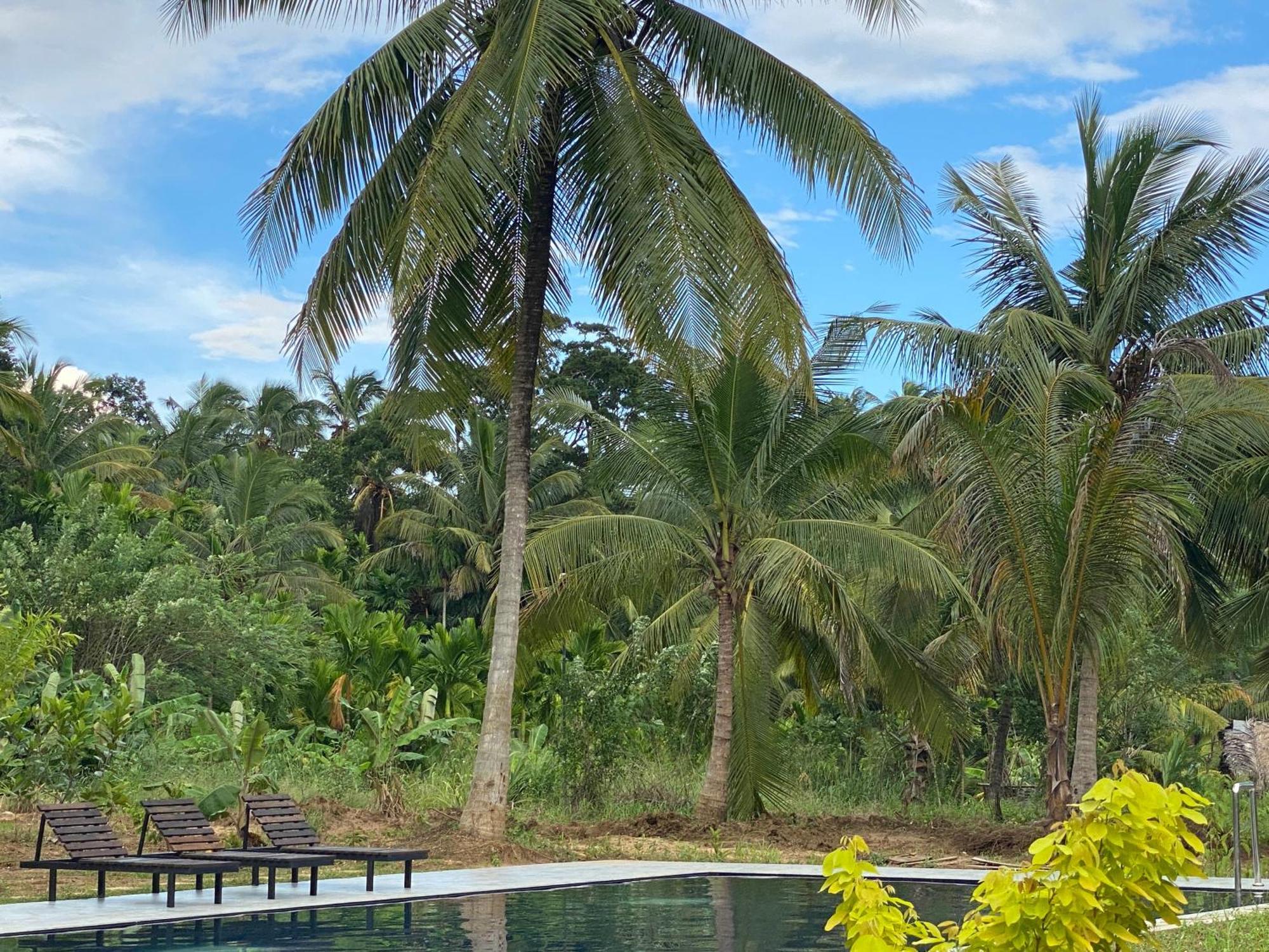 Paramount Safari Cottage Udawalawe Ngoại thất bức ảnh