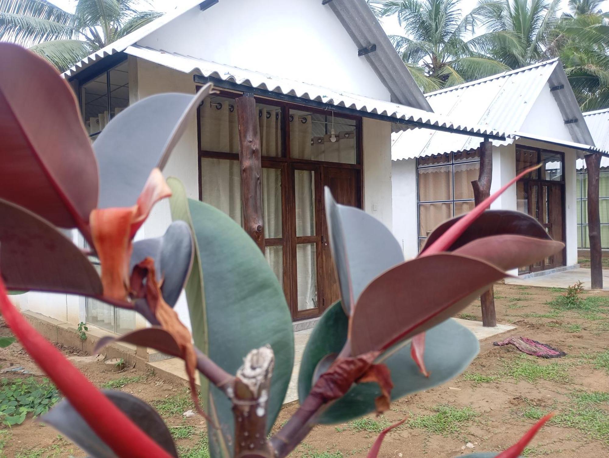 Paramount Safari Cottage Udawalawe Ngoại thất bức ảnh